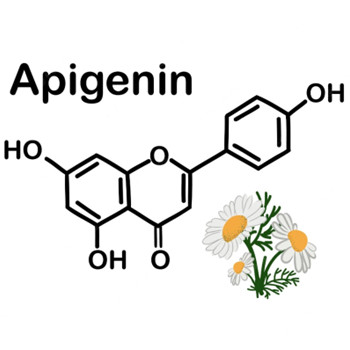 Что делает апигенин в организме?